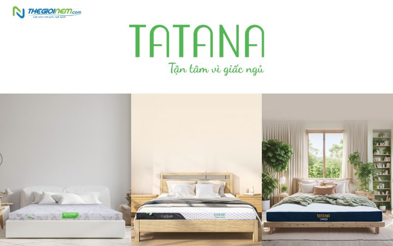 Thương hiệu nệm cao su TATANA 